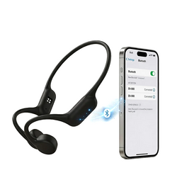 Hearing Aids